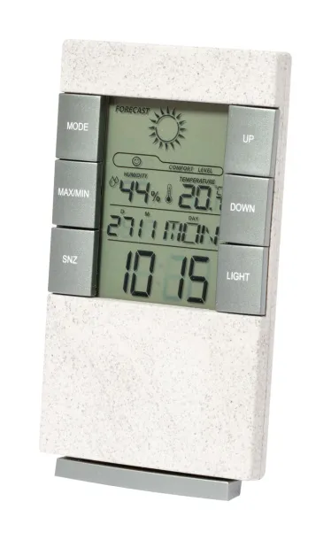 Florida weather station White