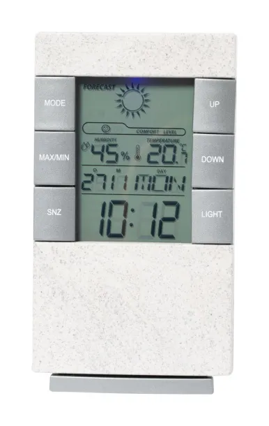 Florida weather station White