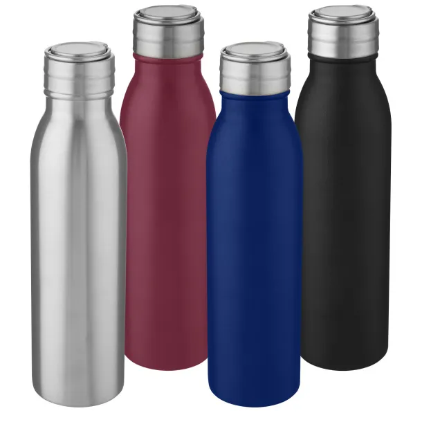 Harper 700 ml stainless steel sport bottle with metal loop - Unbranded Mid blue