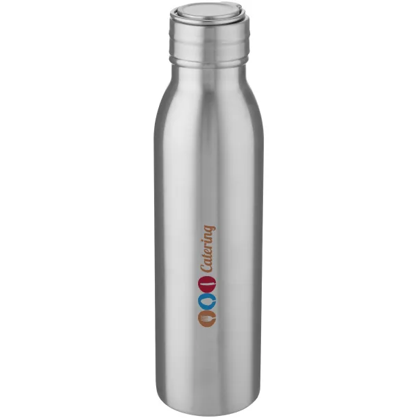 Harper 700 ml stainless steel sport bottle with metal loop - Unbranded Silver