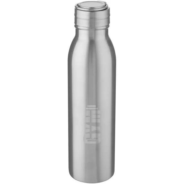 Harper 700 ml stainless steel sport bottle with metal loop - Unbranded Silver