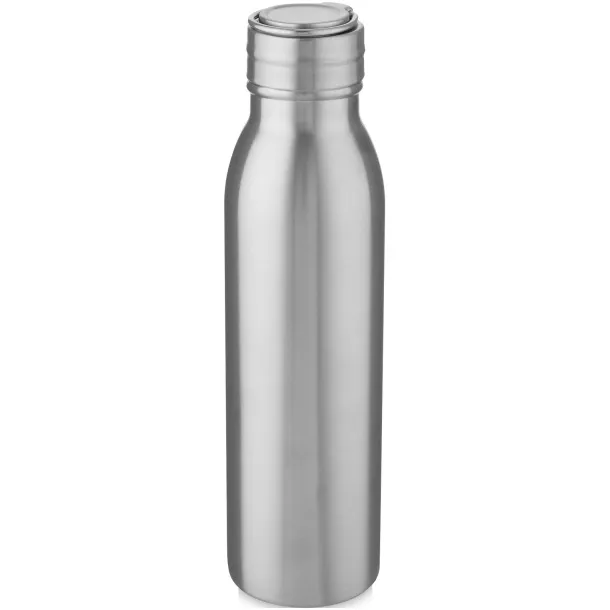 Harper 700 ml stainless steel sport bottle with metal loop - Unbranded Silver