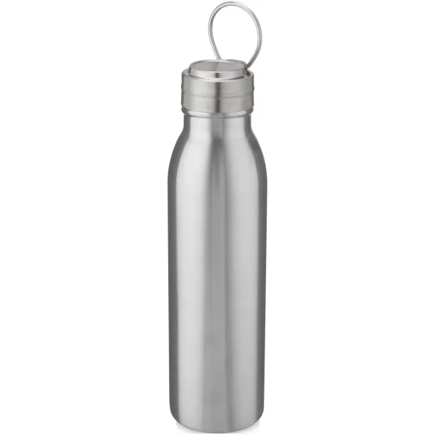 Harper 700 ml stainless steel sport bottle with metal loop - Unbranded Silver