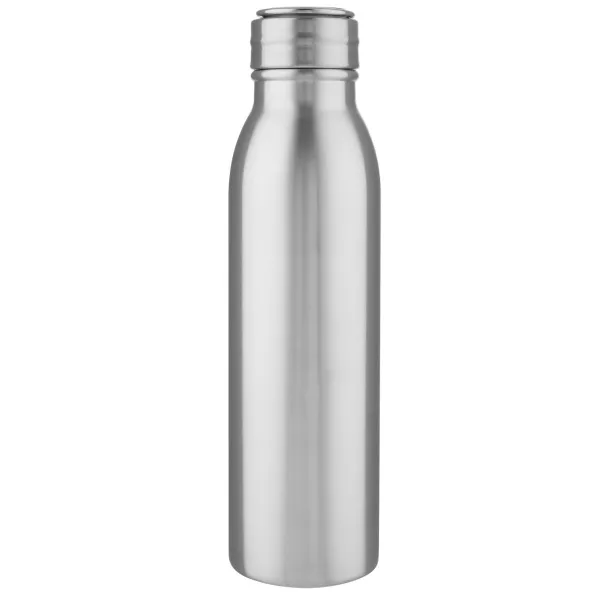 Harper 700 ml stainless steel sport bottle with metal loop - Unbranded Silver