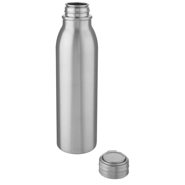 Harper 700 ml stainless steel sport bottle with metal loop - Unbranded Silver