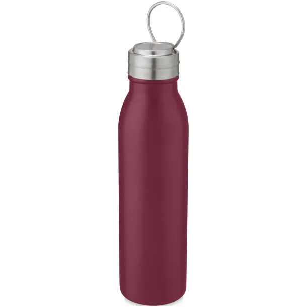 Harper 700 ml stainless steel sport bottle with metal loop - Unbranded Red