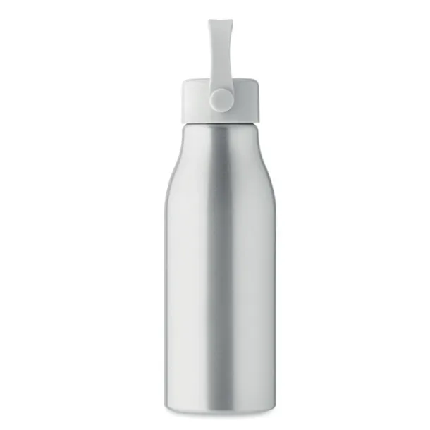 NAIDON Aluminium bottle 650ml Matt Silver