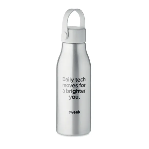 NAIDON Aluminium bottle 650ml Matt Silver