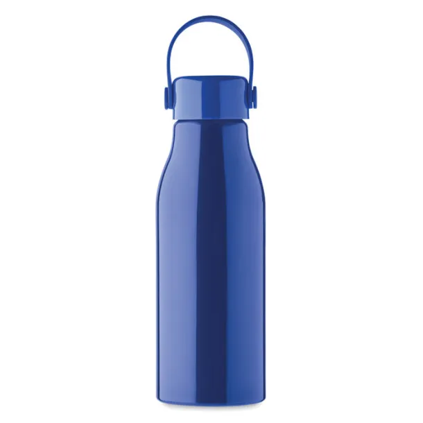 NAIDON Aluminium bottle 650ml Royal blue