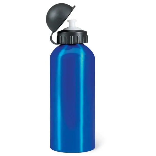 BISCING Metal drinking bottle (600 ml) Blue