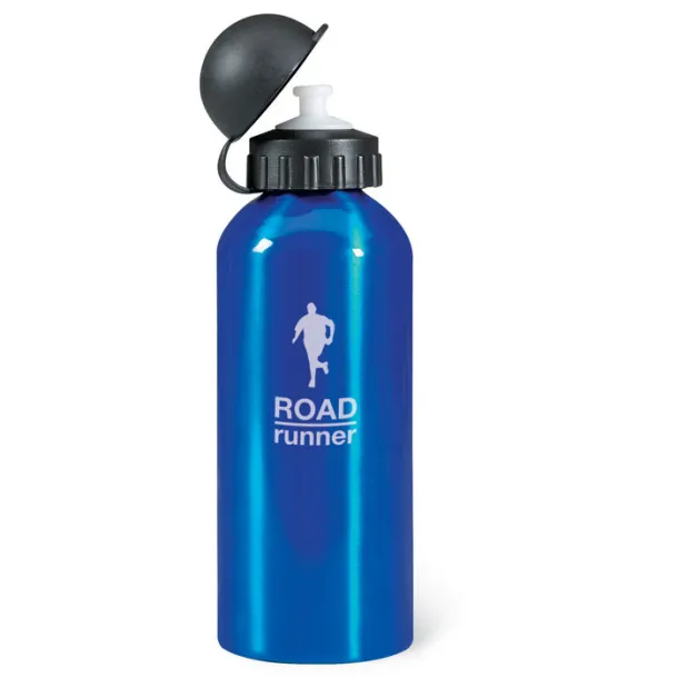 BISCING Metal drinking bottle (600 ml) Blue