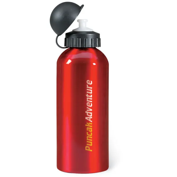 BISCING Metal drinking bottle (600 ml) Red