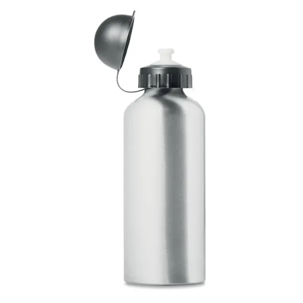 BISCING Metal drinking bottle (600 ml) Matt Silver