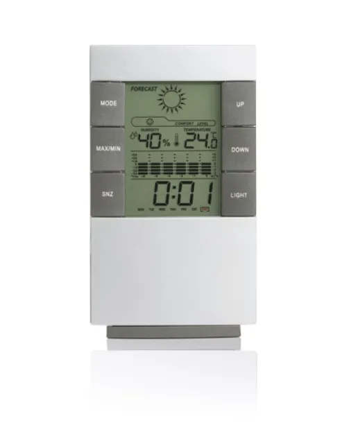 NARVI Weather station Grey