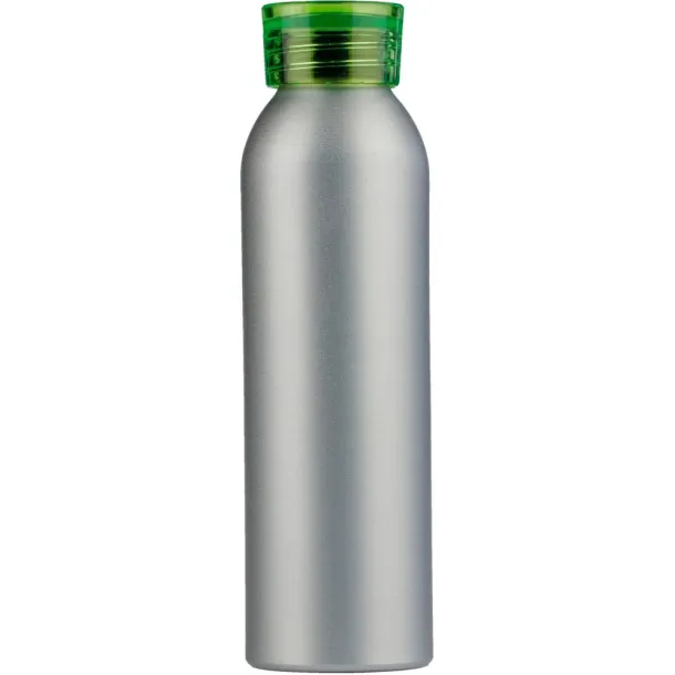  Sports bottle 650 ml light green