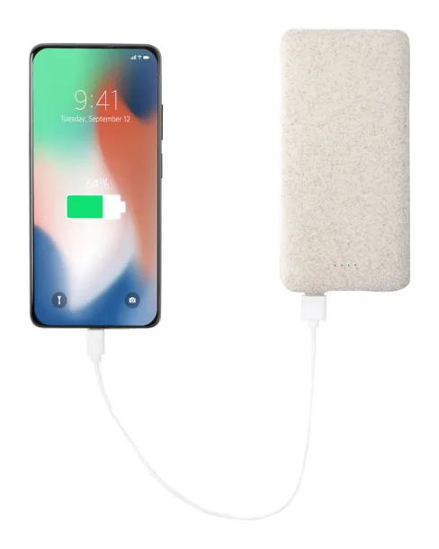 Durum XL prijenosna baterija, 20.000 mAh Prirodna