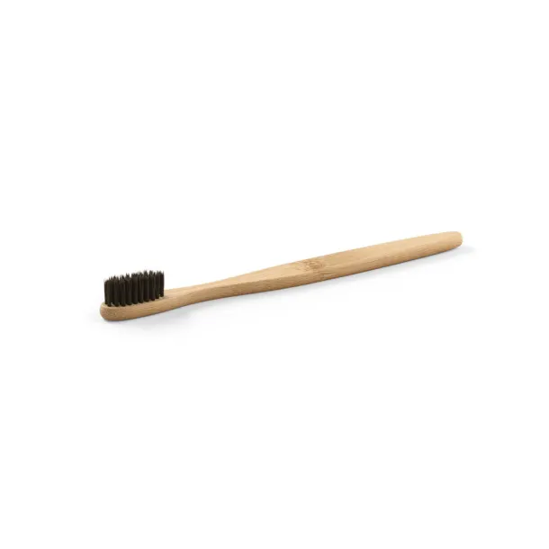 DELANY Toothbrush Black