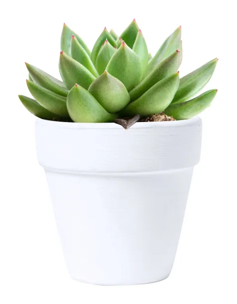 Konte flower pot White