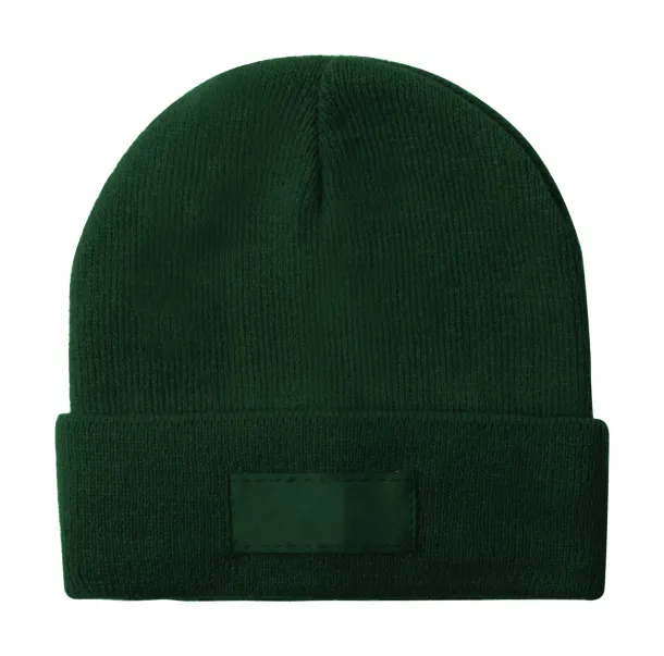 Pronsen winter cap Green