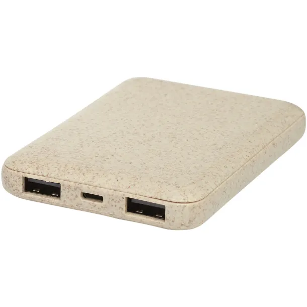 Asama 5000 mAh wheat straw power bank - Avenue Beige