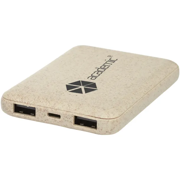 Asama 5000 mAh wheat straw power bank - Avenue Beige