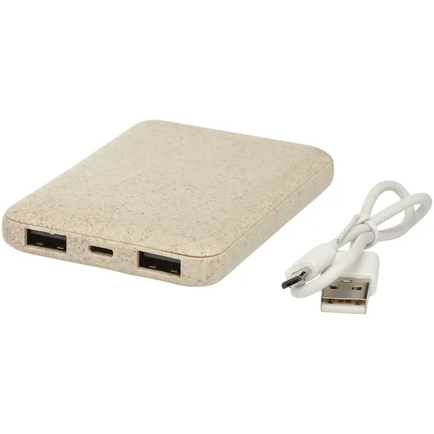 Asama 5000 mAh wheat straw power bank - Avenue Beige