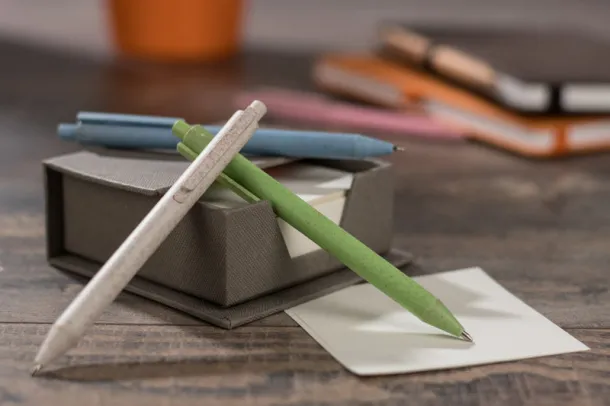 REVI Ball pen naturalny