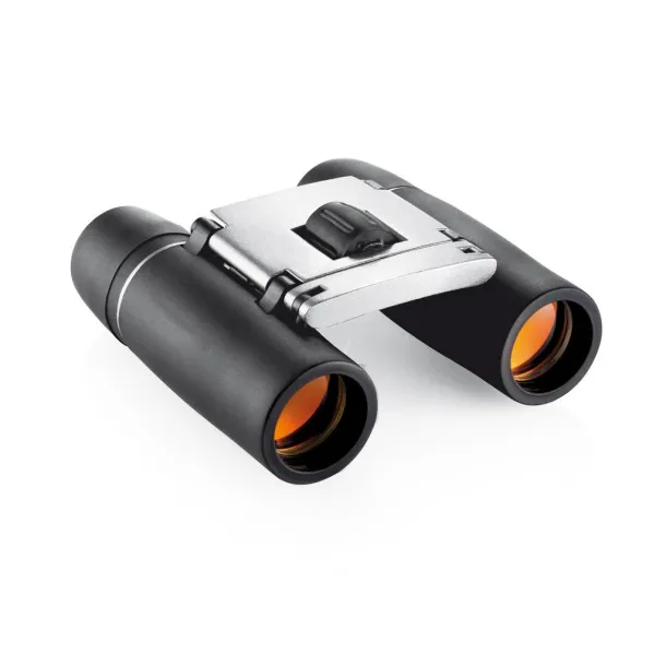 Everest binoculars Silver Black