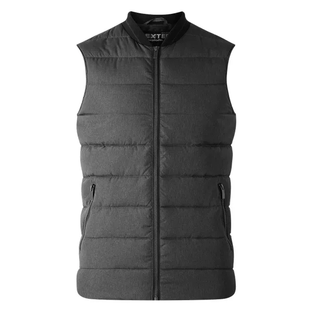 DEXTER Bodywarmer Ash gray