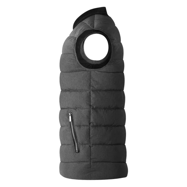 DEXTER Bodywarmer Ash gray