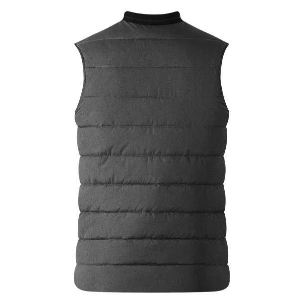 DEXTER Bodywarmer Ash gray