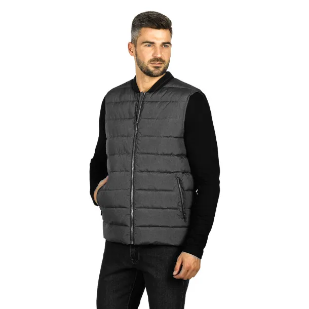 DEXTER Bodywarmer Ash gray