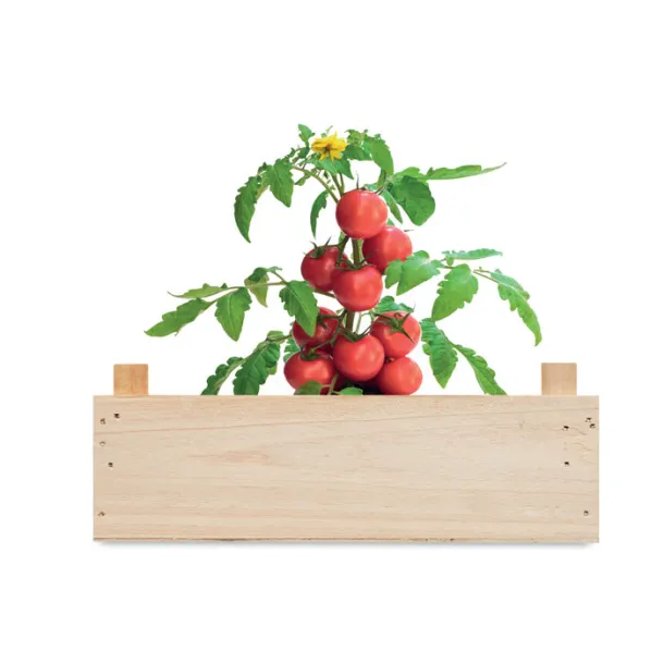 TOMATO Tomato kit in wooden crate Wood