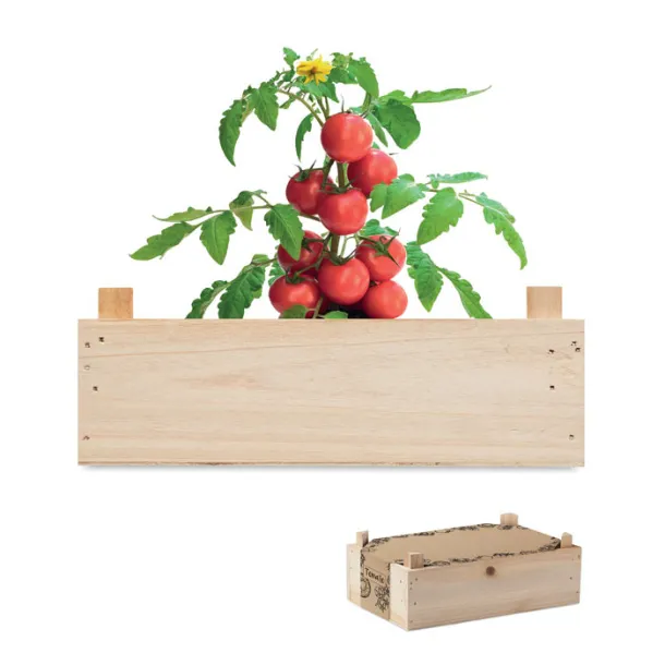 TOMATO Tomato kit in wooden crate Wood