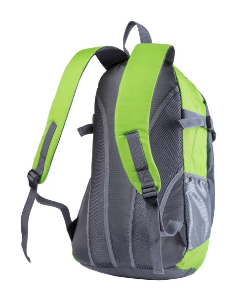 Tengri backpack Lime green