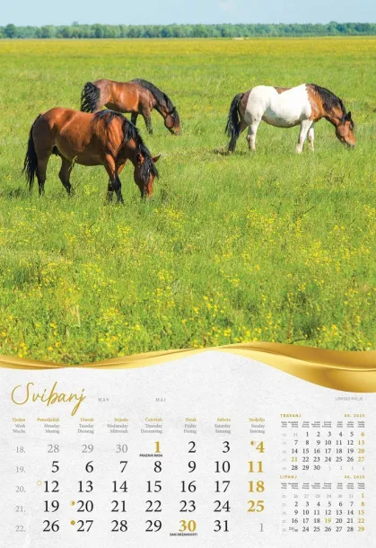  "MOJA ZLATNA SLAVONIJA i BARANJA"  color calendar Color