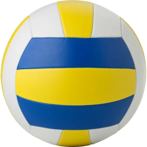  Volleyball neutral