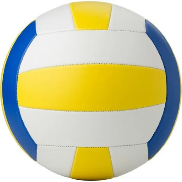  Volleyball neutral