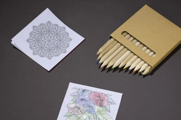 LOTI Colour pencils with colouring book 729 C