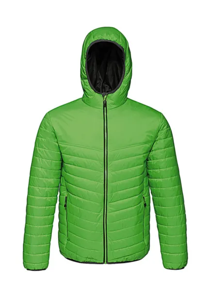  Acadia II Warmloft Down-Touch Jacket - Regatta Professional Extreme Green Black