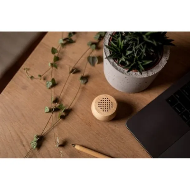  Wooden wireless speaker 3W wood