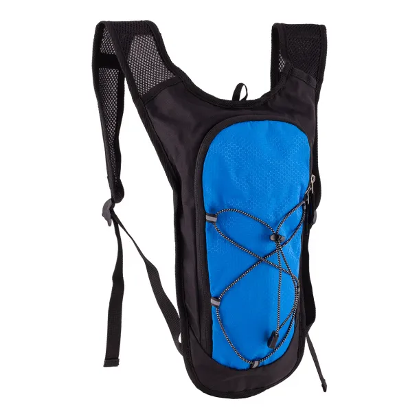 PALMER sports backpack Blue