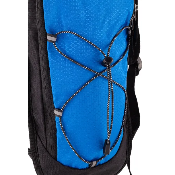 PALMER sports backpack Blue