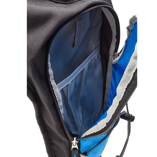 PALMER sports backpack Blue