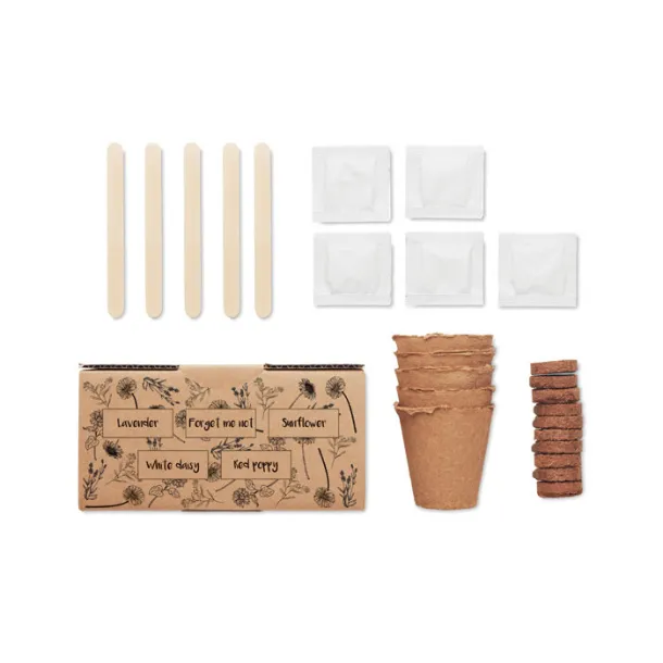 FLOWERS Flowers growing kit Beige