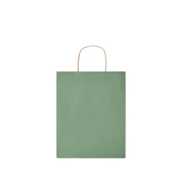 PAPER TONE M Medium Gift paper bag  90 gr/m² Green