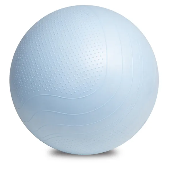 FITBALL gymnastic ball for exercises Blue