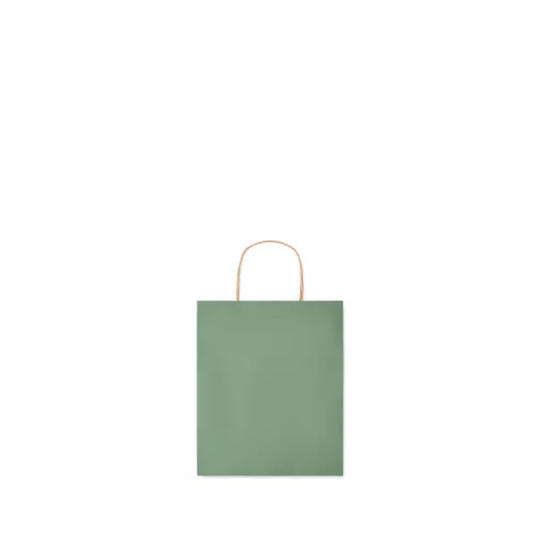 PAPER TONE S Small Gift paper bag 90 gr/m² Green