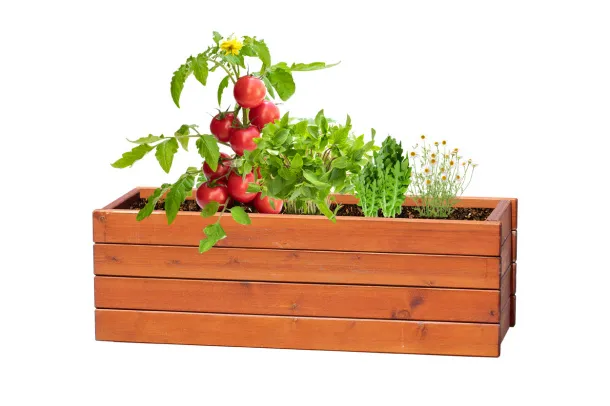 Solmi herb growing kit Natural
