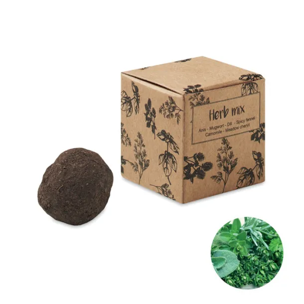 BOMBI III Herb seed bomb in carton box Beige